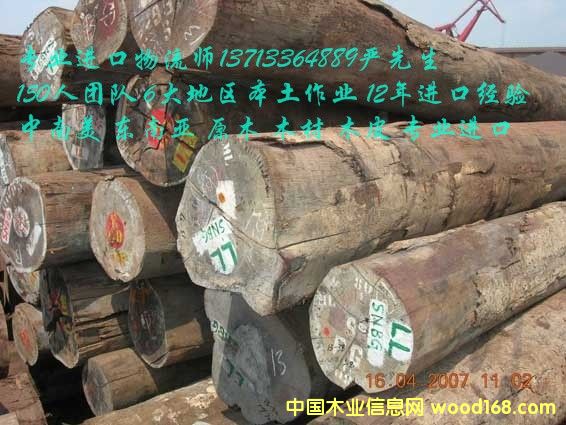 �M�ڱ���ľ��/����ľ��/����ľ���M�ڈ��P