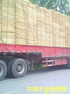 ��Ƥ���ΰ��Ԕ����B