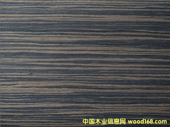 ��̴��Ԕ��(x��)��B