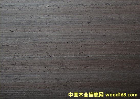 ɳ����2237Q��Ԕ��(x��)��B