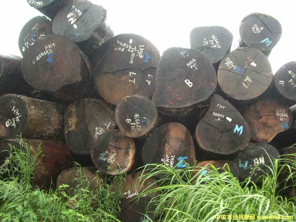 ����ľ����/���/ԭ�ĵ�Ԕ��(x��)��B