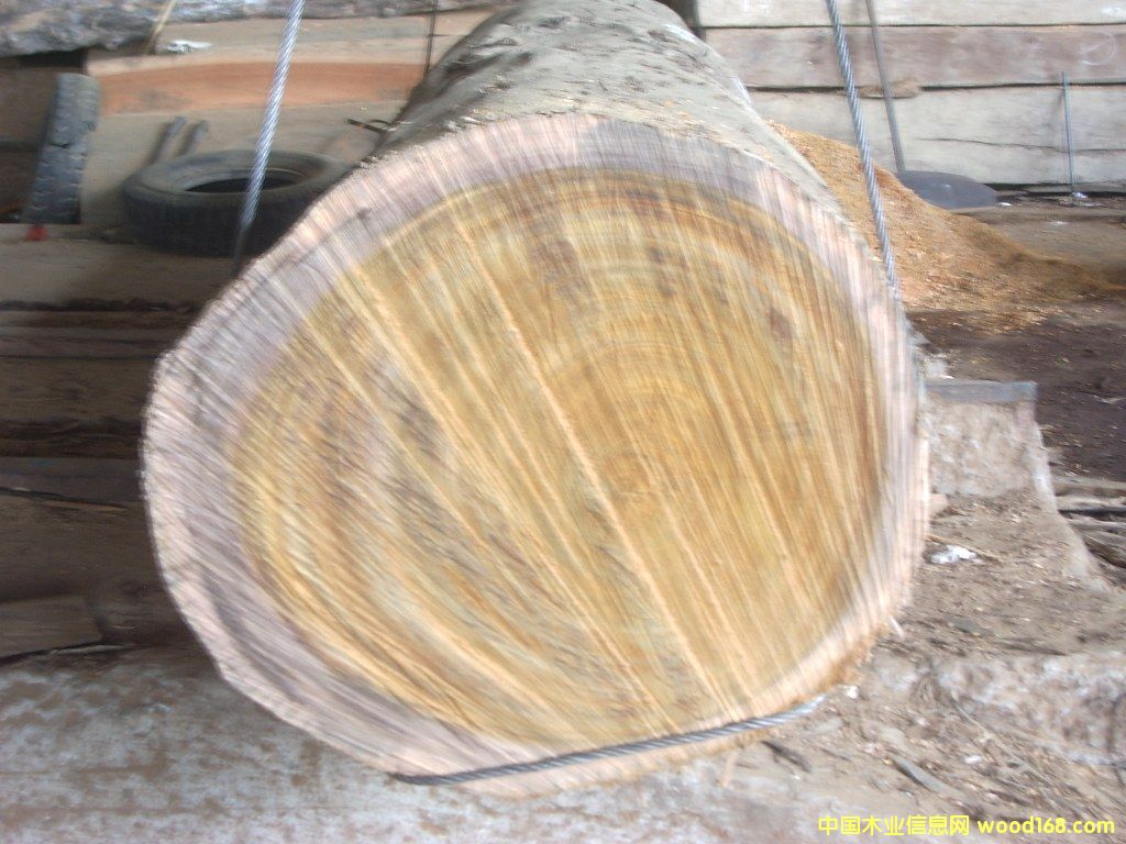 �W������/���/ԭ�ĵ�Ԕ��(x��)��B