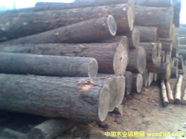 �t��ԭľ��ķ���ľ��Ԕ��(x��)��B