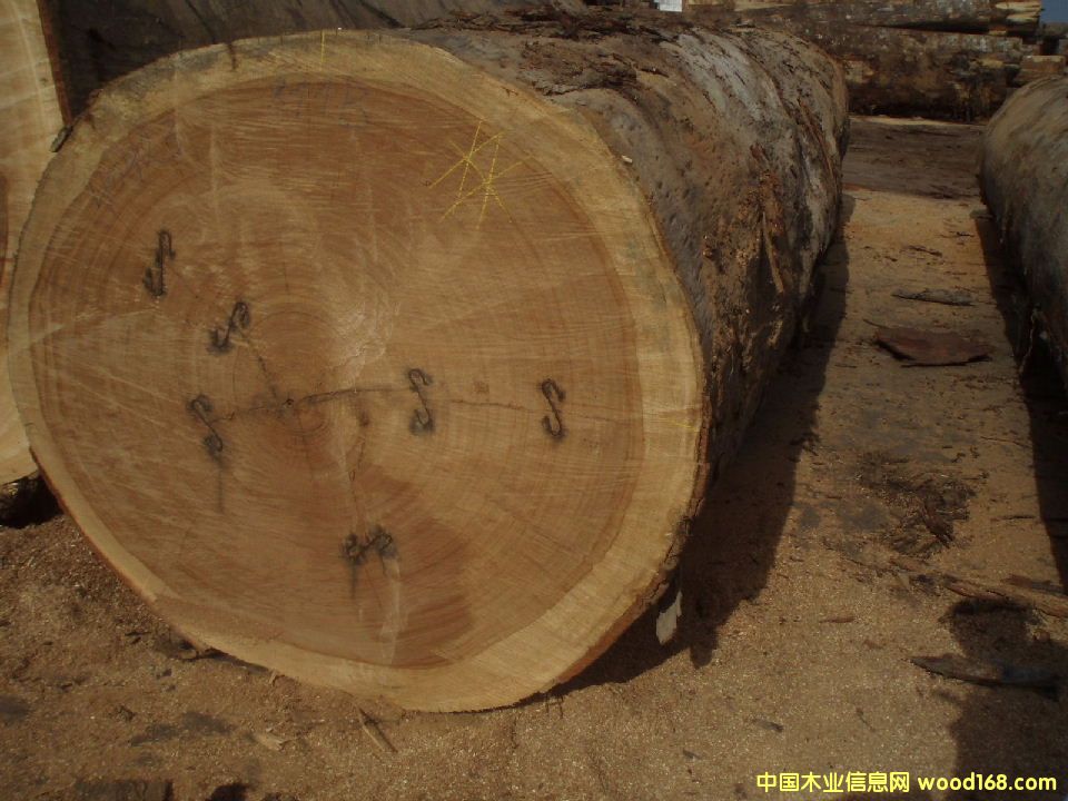 ��ľԭľ��ķ���ľ��Ԕ��(x��)��B