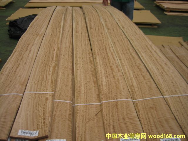 �ȼ���ľƤ��Ԕ��(x��)��B