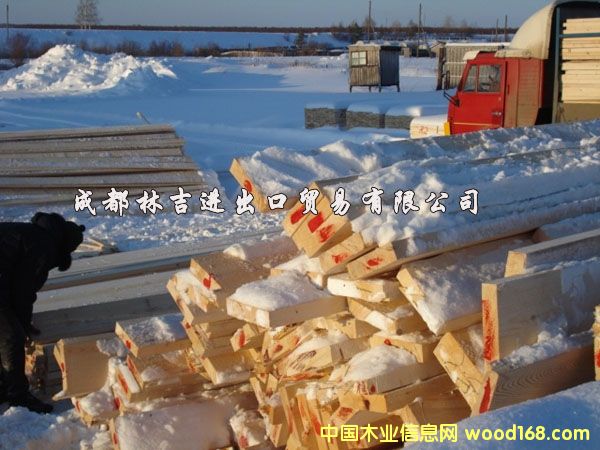 ��ľ��ĵ�Ԕ����B