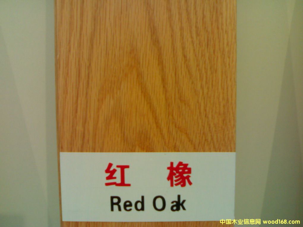 �t���Ԕ��(x��)��B