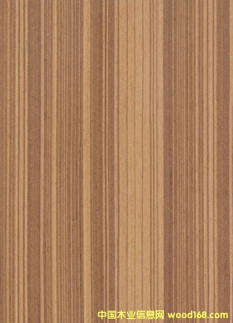 teak# 104��Ԕ��(x��)��B