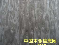 K.Y��؈�۵�Ԕ��(x��)��B