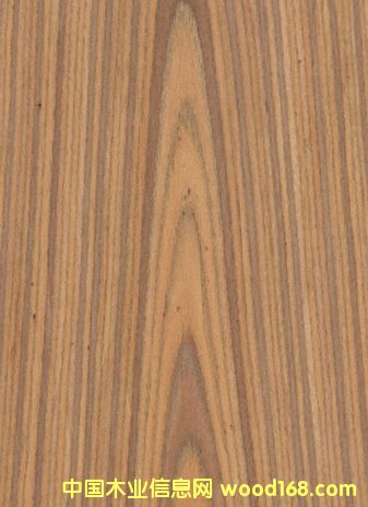 K.Y.Teak#301��Ԕ��(x��)��B