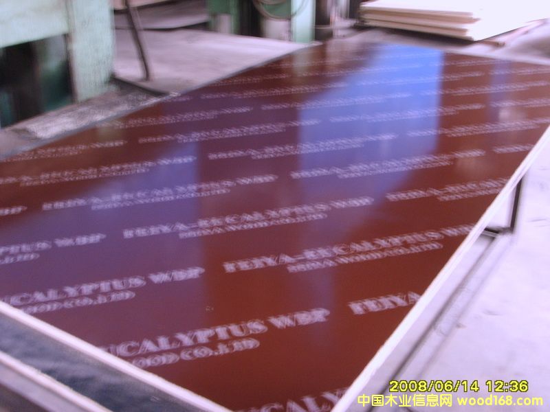 ����ģ���Ԕ����B