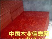 ����ģ���Ԕ��(x��)��B