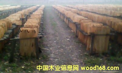 �c���鿴��ĵ�Ԕ���Y��