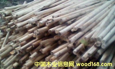 �c(di��n)���鿴��ľľ���Ŵ�DƬ