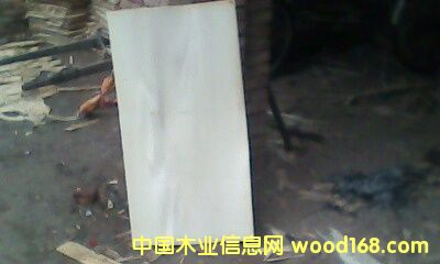 �c���鿴��ľ��ĵ�Ԕ���Y��