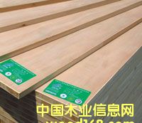 ��ľ�����Ԕ����B