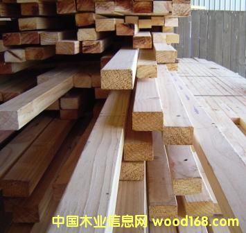 �����mݗ���ɵ�Ԕ����B