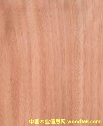 �W�����ΰ��Ԕ��(x��)��B