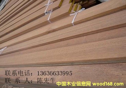 ����(y��ng)�̈́�ľ