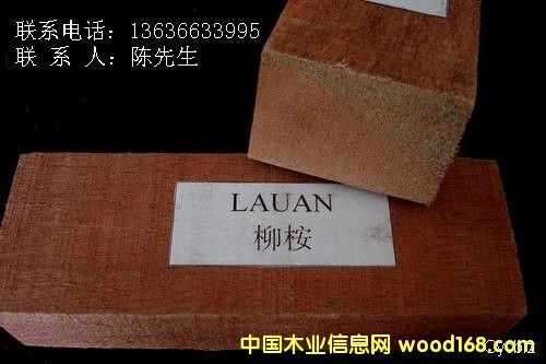 ����(y��ng)�t����ľ