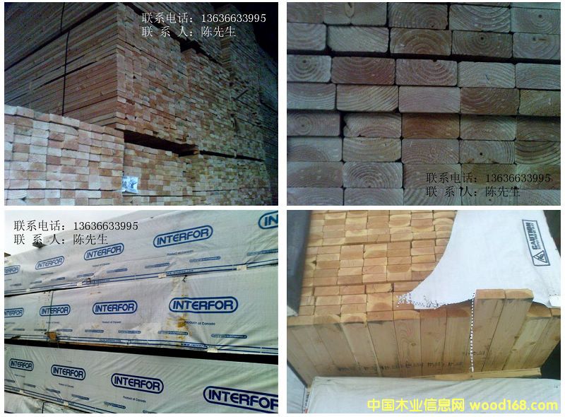 �����ɰ����ľ��