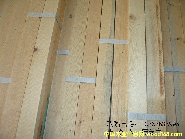 ����(y��ng)���ɗl