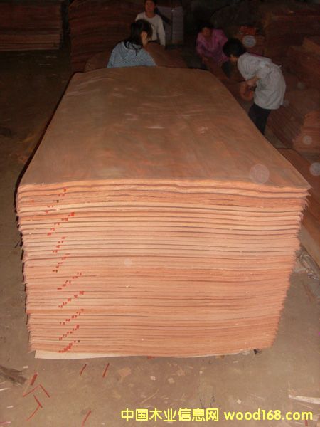 �һ�о��Ƥ��Ԕ��(x��)��B