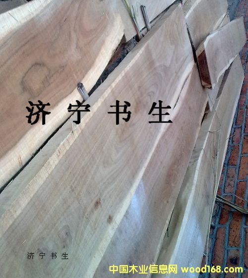 �c(di��n)���鿴��ľ��ķŴ�DƬ