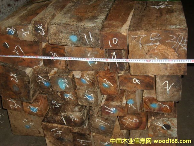 ΢���S̴䏰�ľ�ģ��t��֦ľ����Ԕ��(x��)��B