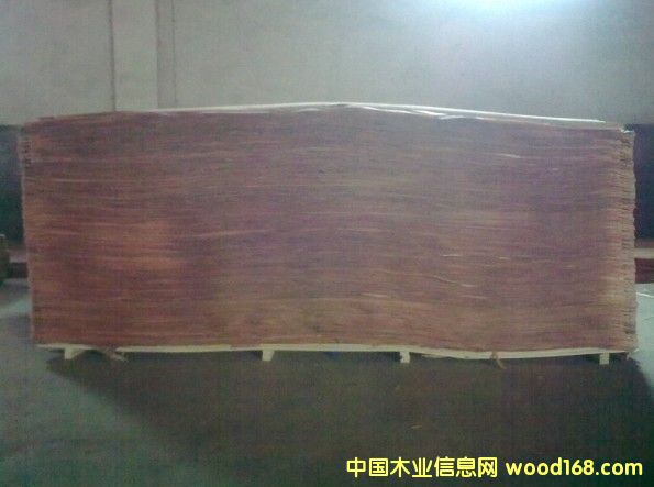 �W�����ΰ�