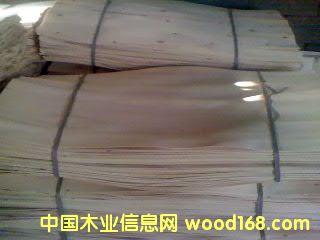 ��ľ�ΰ��Ԕ����B