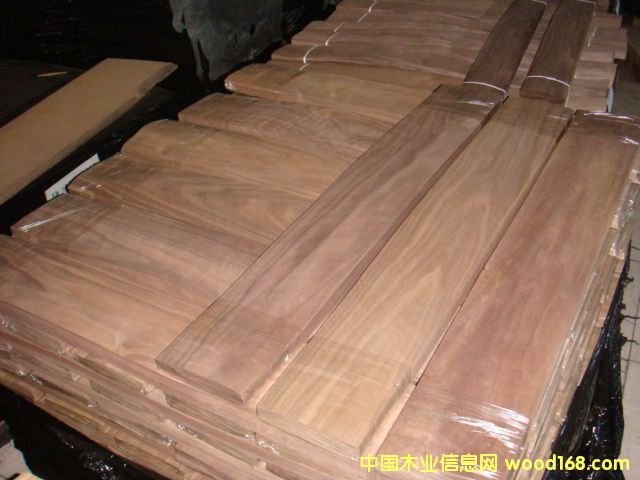 �ں��ҵذ�ľƤ��Ԕ����B