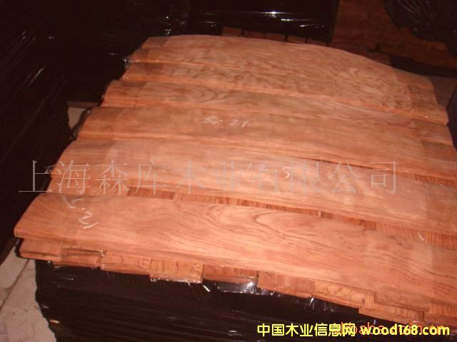 ����ذ�ľƤ��Ԕ����B