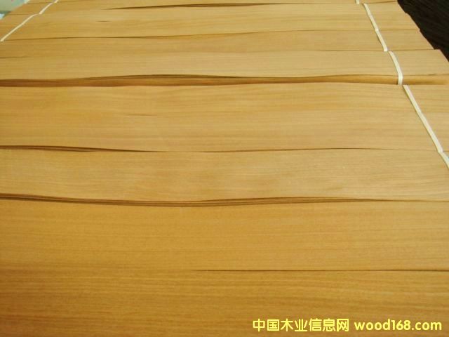 ��ľ���ذ�ľƤ��Ԕ����B