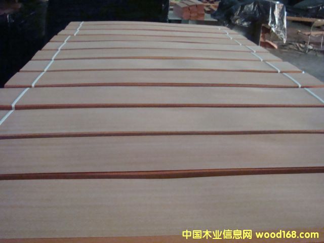 ɳ�����ذ�ľƤ��Ԕ����B