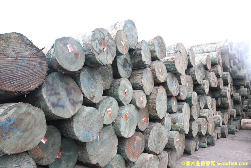 �����mݗ����