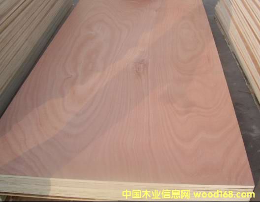 ��(x��)ľ�����Ԕ��(x��)��B