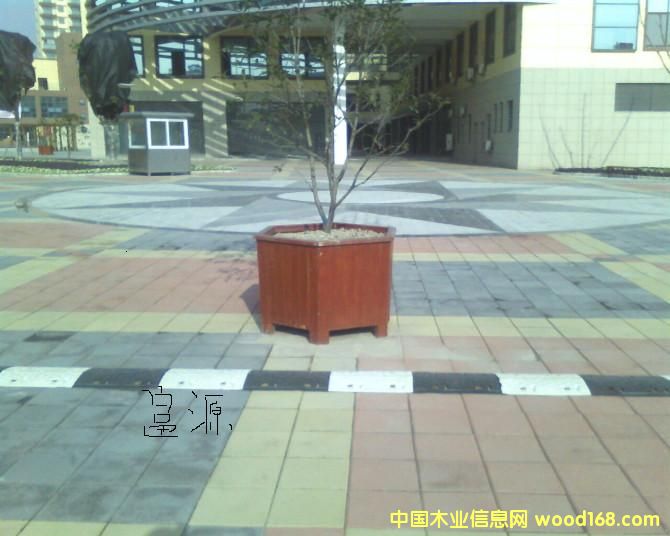 ���{��Ԕ����B