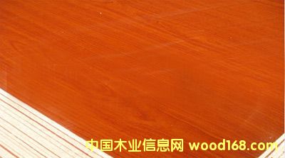 �����谷����