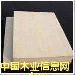 ������(chu��ng)Դ-���Ӱ��Ԕ��(x��)��B