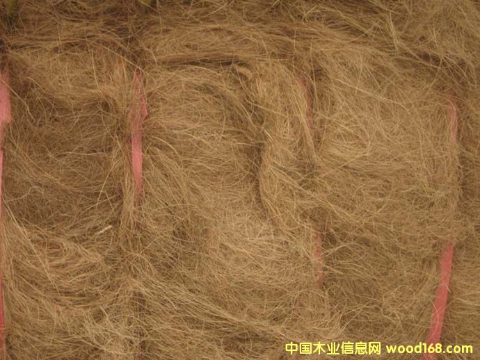 ����(y��ng)Ҭ�ص�Ԕ��(x��)��B