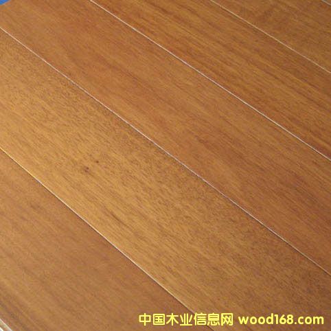 ����(y��ng)�һ�о��ľ�ذ��Ԕ��(x��)��B