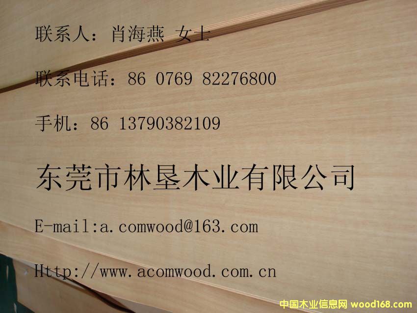 ������ ľƤ 