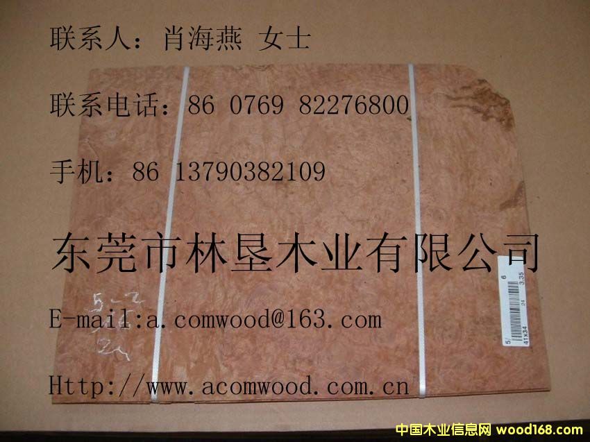 ����(d��ng)�Ș���