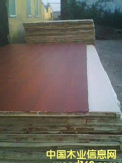 �����谷�N�漚(x��)ľ�����Ԕ��(x��)��B