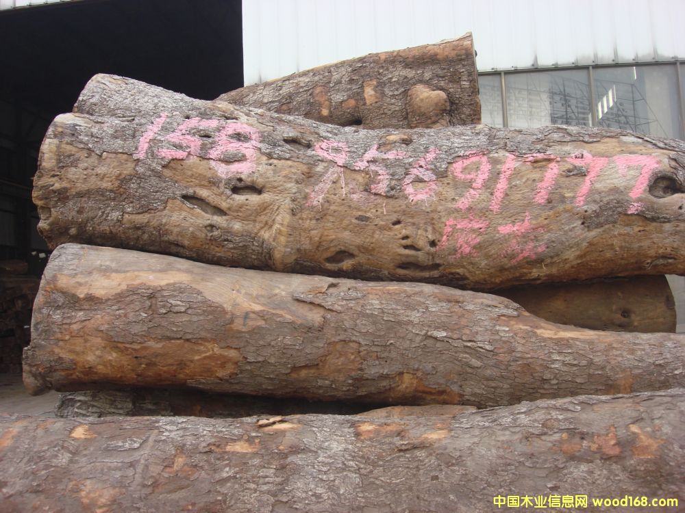 Īɣ�ȿ� Ƥ��