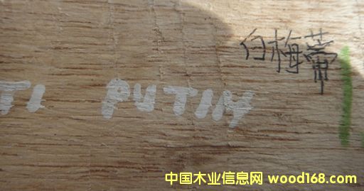 ��÷�ٵ�Ԕ��(x��)��B