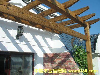 ������̿��ľ����