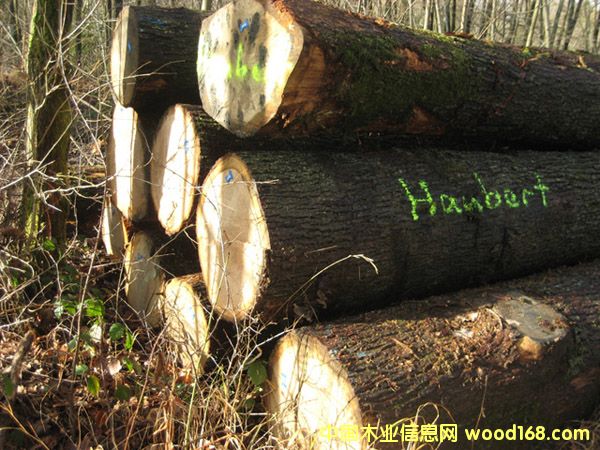 �W�ް���1��Ԕ��(x��)��B