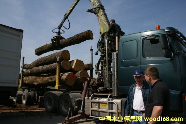 �W�ް���4��Ԕ��(x��)��B